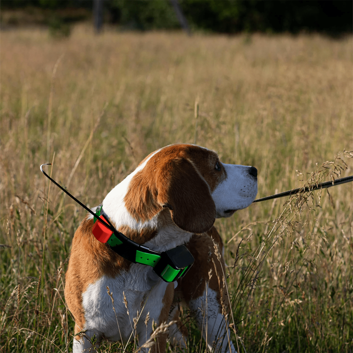 Ploughnavi GPS-Antenne (mit eingebauter Stahlplatte) Ersatz für Garmin DC50 T5 TT10 TT15 Hundeortungshalsband