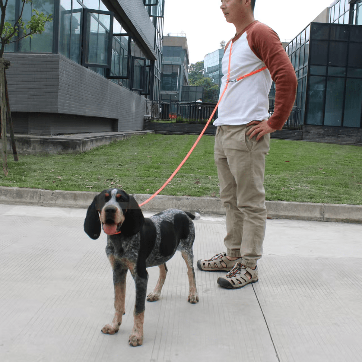 両端に引っ張らない犬用リード - 子犬と犬用の2.15mの頑丈な引っ張り防止トレーニングリード、ボルトスナップ付きの噛みつき防止屋外ウォーキングリード