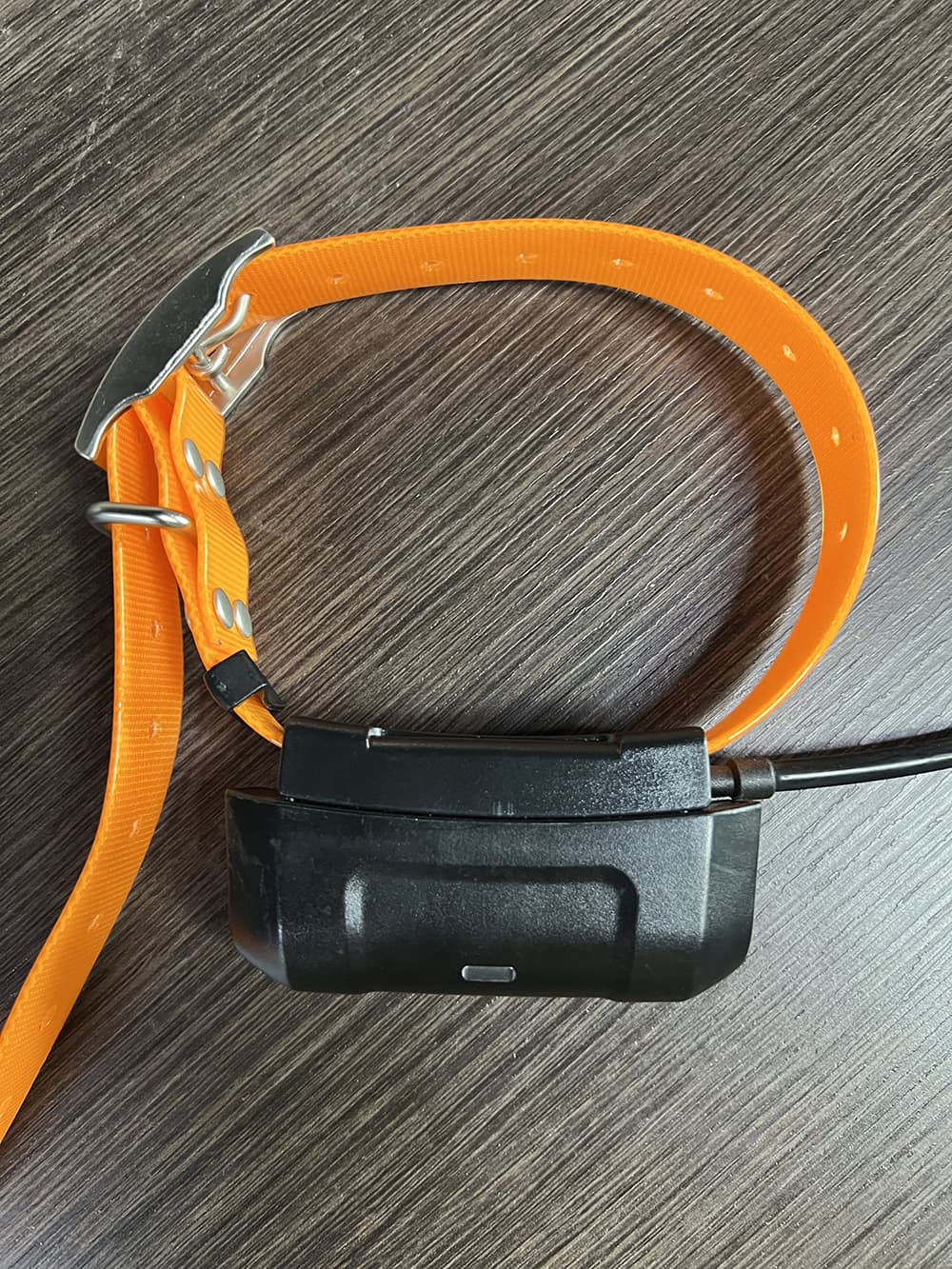 Nova coleira de rastreamento GPS para cães Garmin DC40 para Astro 220/320 versão EUA com carregador