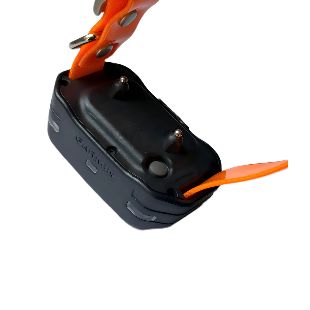 Collier anti-aboiement Garmin BarkLimiter PT5 d'occasion avec chargeur pour Sport PRO, PRO 70 et PRO 550