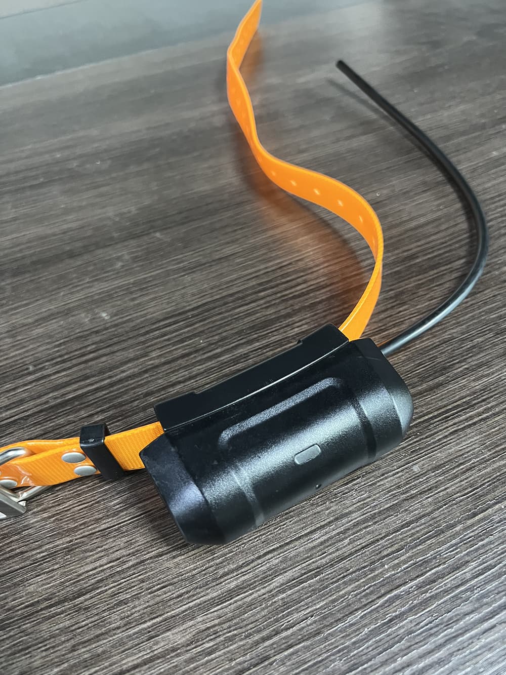 Nova coleira de rastreamento GPS para cães Garmin DC40 para Astro 220/320 versão EUA com carregador