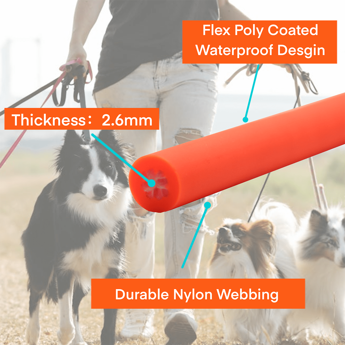 Double-Ended Traffic Leash - Heavy Duty No-Pull Dog Training Leash with Dual Bolt Snaps