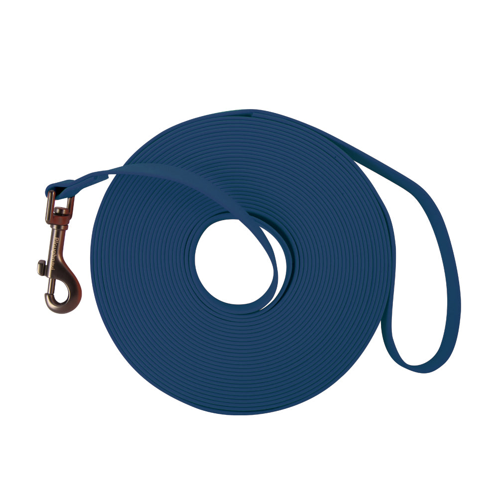 Correa de entrenamiento para perros larga de 2 cm de ancho, correa de poliéster para perros, impermeable y duradera