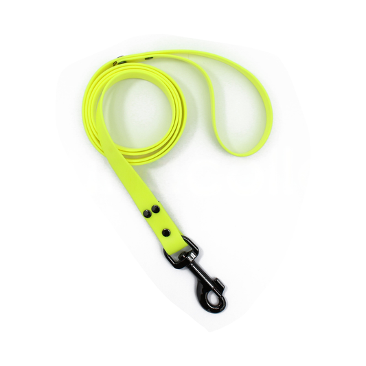 5ft Heavy Duty Dog Walking Leash - Chew Proof, Waterproof Small Dog Leash with Lobster Clasp for Puppy, Outdoor, and Yard Use