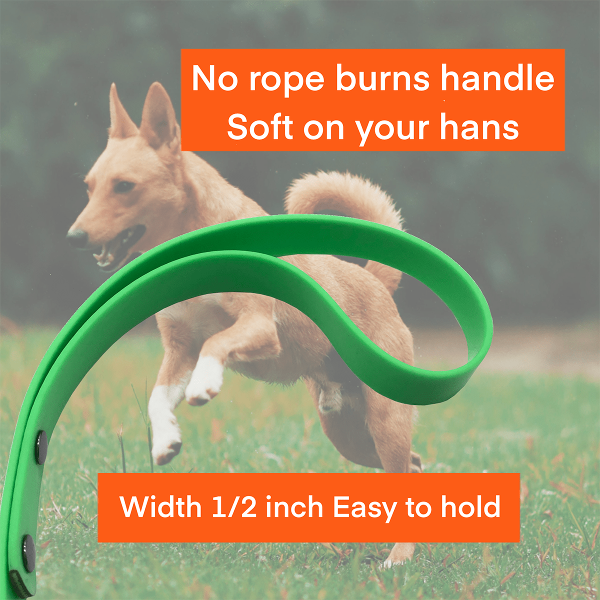 Laisse robuste pour promenade de chien de 1,5 m - Résistante aux morsures et imperméable, avec fermoir mousqueton, pour chiots, à l'extérieur et dans la cour