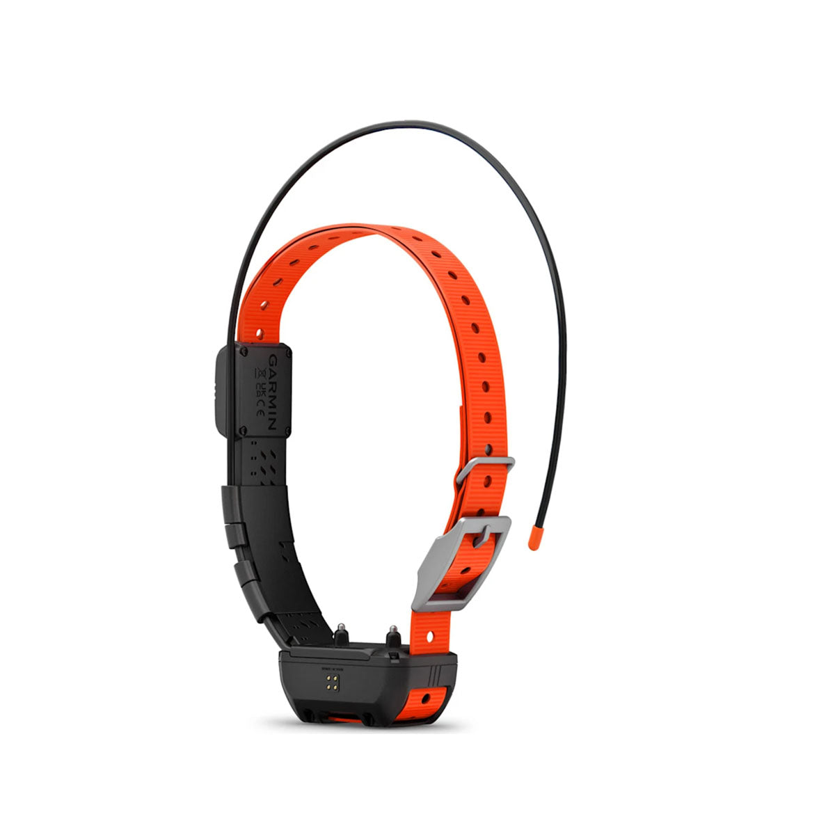 Nuevo collar de seguimiento para perros Garmin Alpha TT25, versión estadounidense