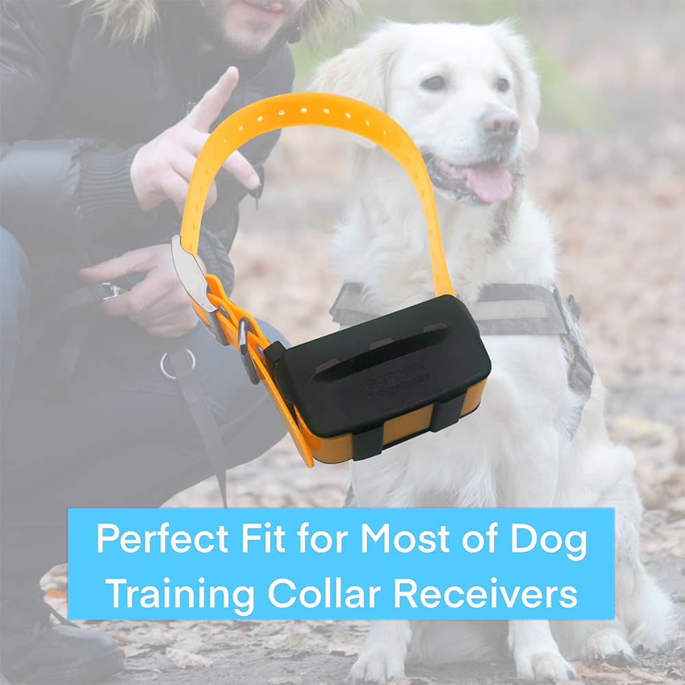 Correa de repuesto para collar de perro de 1 x 28,7 pulgadas compatible con Garmin Astro DC50 T5 TT15 TT10