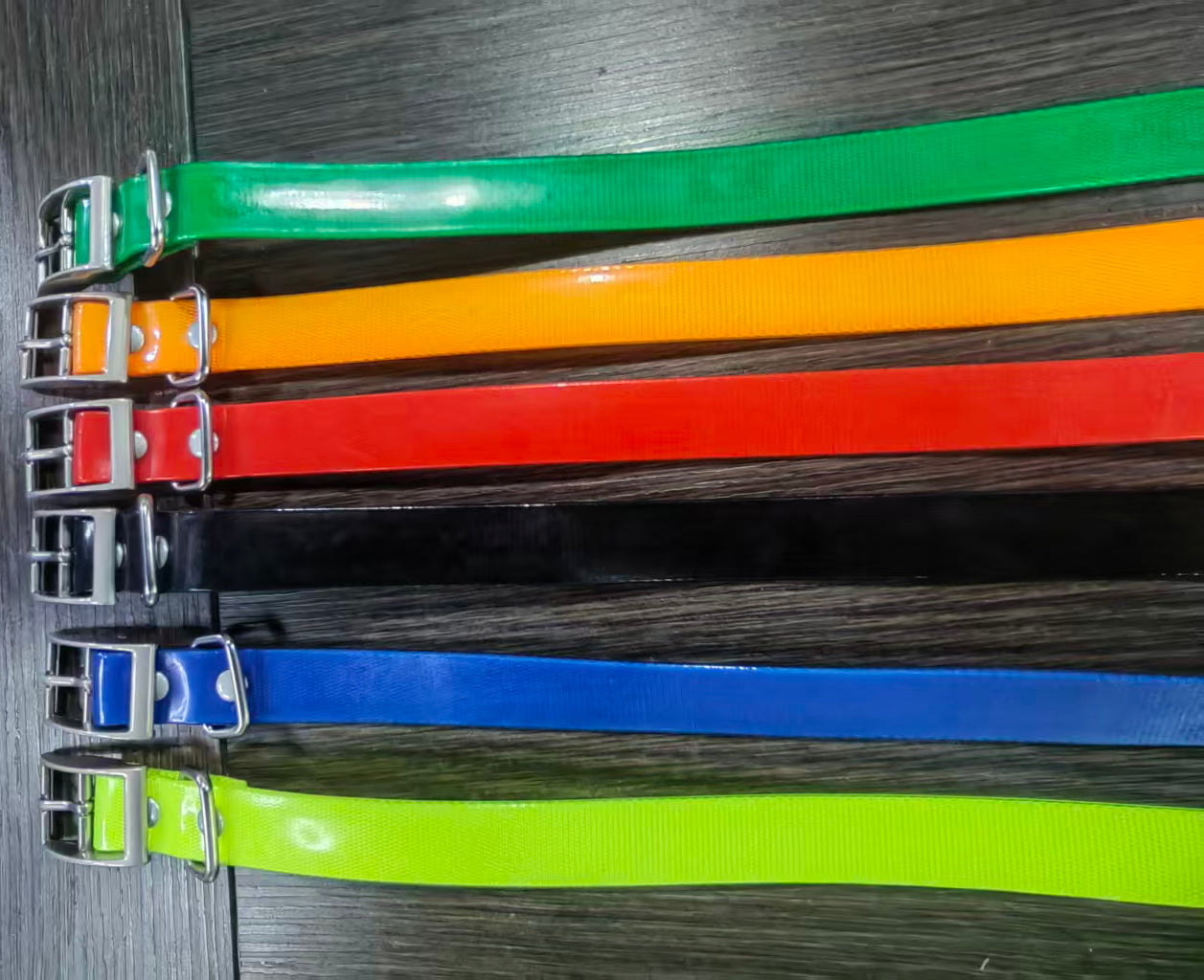 Correa de 3/4" para collares de adiestramiento canino Garmin T5mini/TT15mini/PT5/PT6/PT10/TB10/Delta
