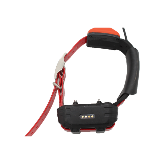 Collar GPS Garmin TT15 Mini usado. Collares de seguimiento Garmin Alpha: 60 % de descuento solo hoy.