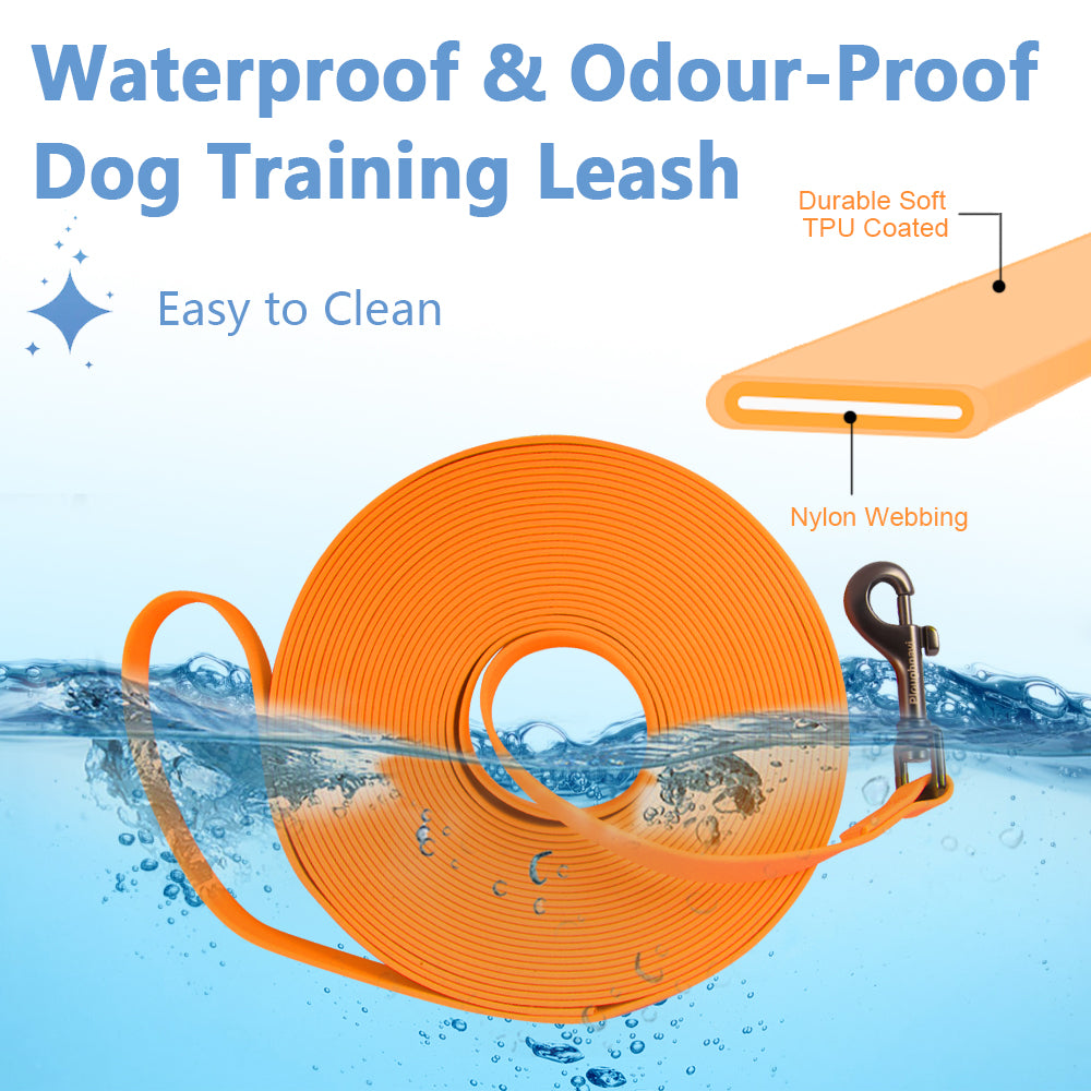 Correa de entrenamiento para perros larga de 2 cm de ancho, correa de poliéster para perros, impermeable y duradera