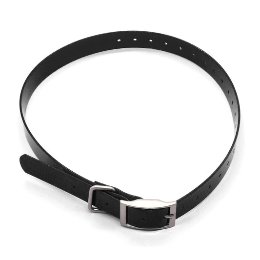 Sangle de collier 19 mm (3/4") pour colliers de dressage Garmin séries T5mini/TT15mini/PT5/PT6/PT10/TB10/Delta