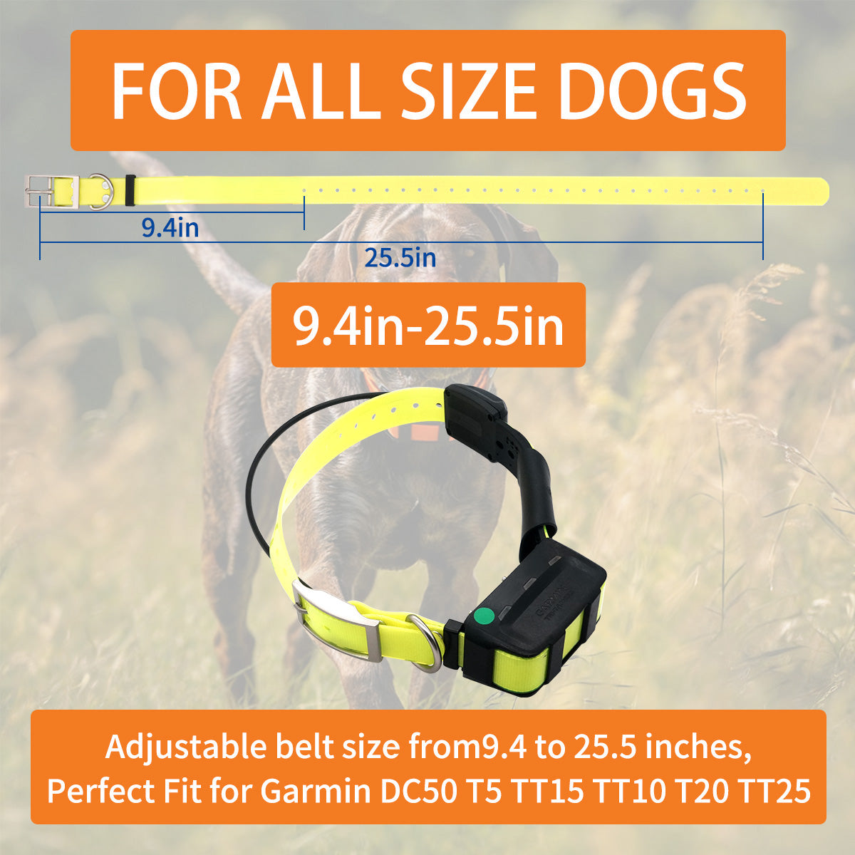 Sangle de collier en nylon imperméable avec boucle en D pour Garmin DC50, T5, TT10, TT15, T20, TT25, colliers réglables pour grands chiens.