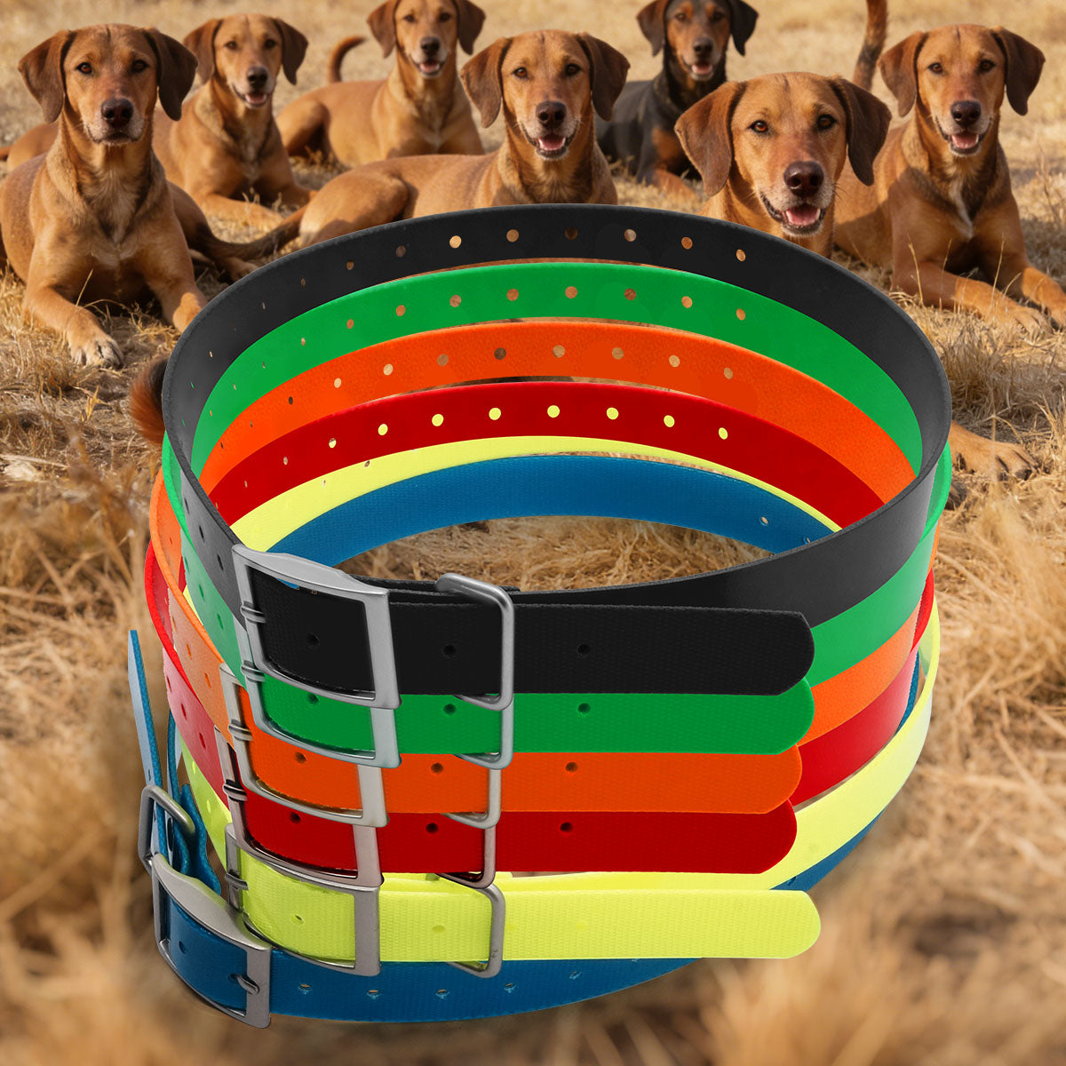 3/4" Collar Strap for Garmin T5mini/TT15mini/PT5/PT6/PT10/TB10/Delta Series Dog Training Collars