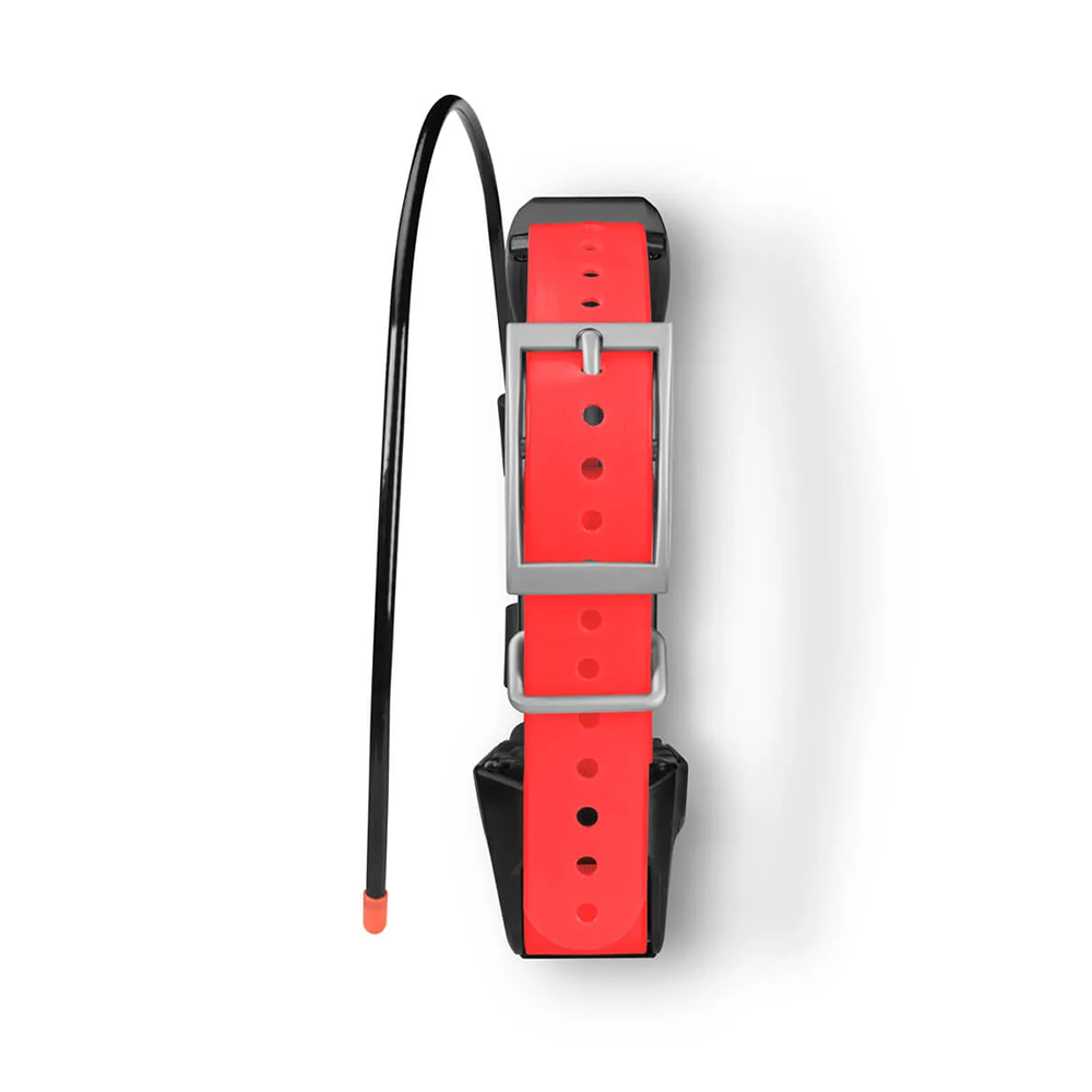 Collier de suivi pour chien Garmin TT15X tout neuf, version américaine