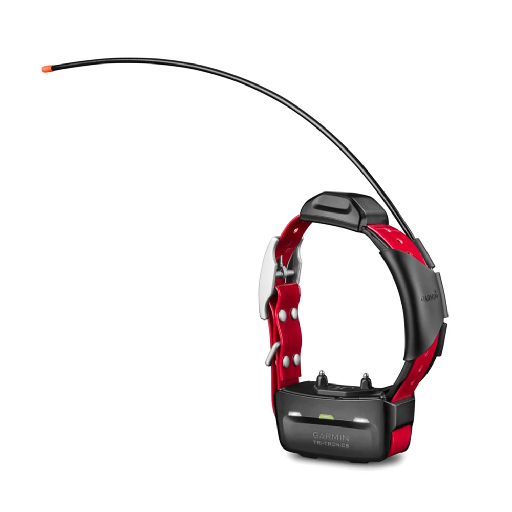 Collier de suivi pour chien Garmin TT15X tout neuf, version américaine