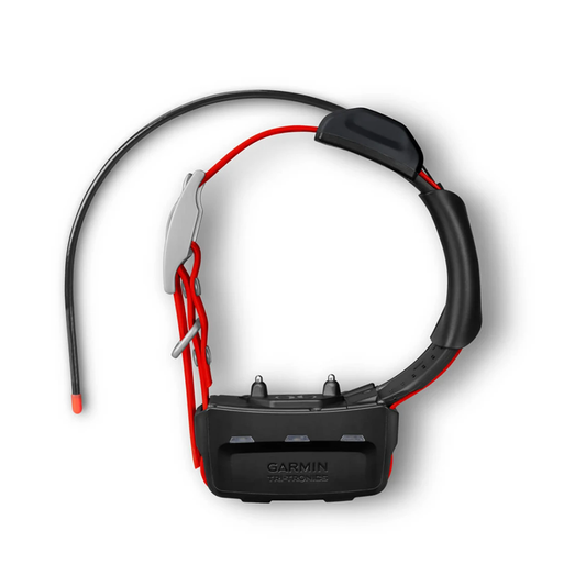 Nuevo collar de seguimiento para perros Garmin TT15X, versión estadounidense