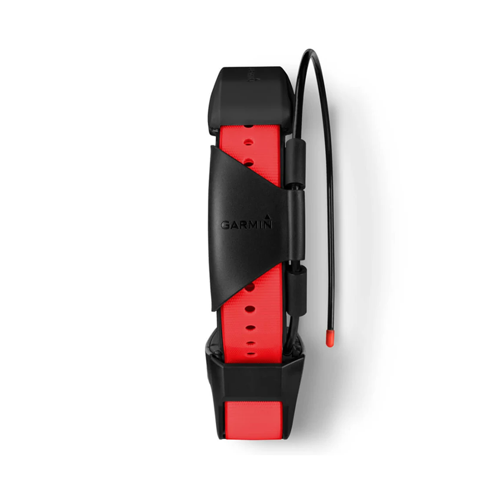 Collier de suivi pour chien Garmin TT15X tout neuf, version américaine