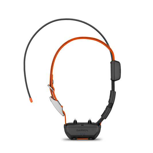 Nuevo collar de seguimiento para perros Garmin Alpha TT25, versión estadounidense