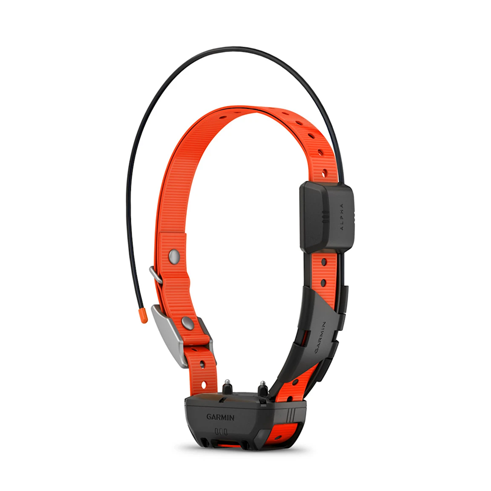 Nuevo collar de seguimiento para perros Garmin Alpha TT25, versión estadounidense