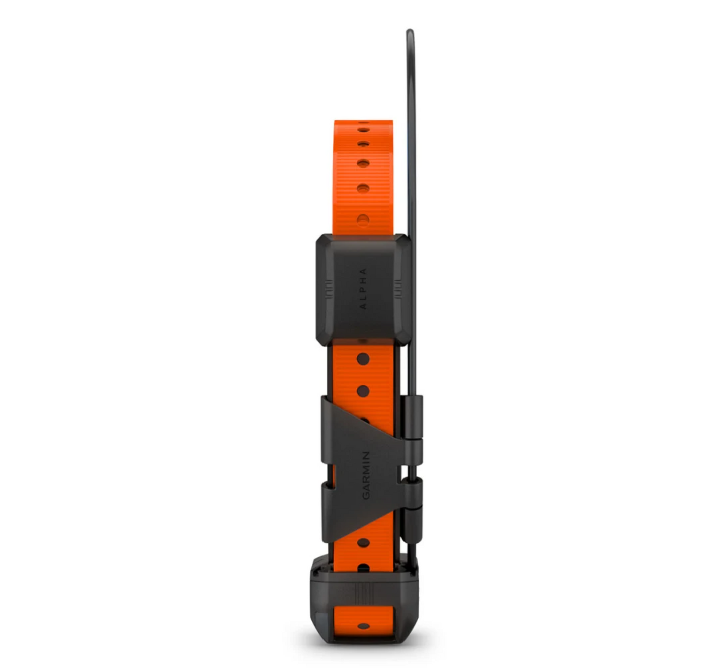 Nuevo collar de seguimiento para perros Garmin Alpha TT25, versión estadounidense