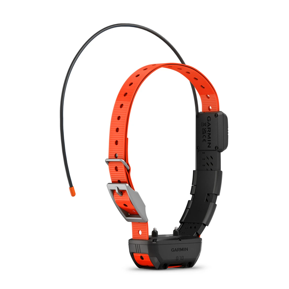 Nuevo collar de seguimiento para perros Garmin Alpha TT25, versión estadounidense