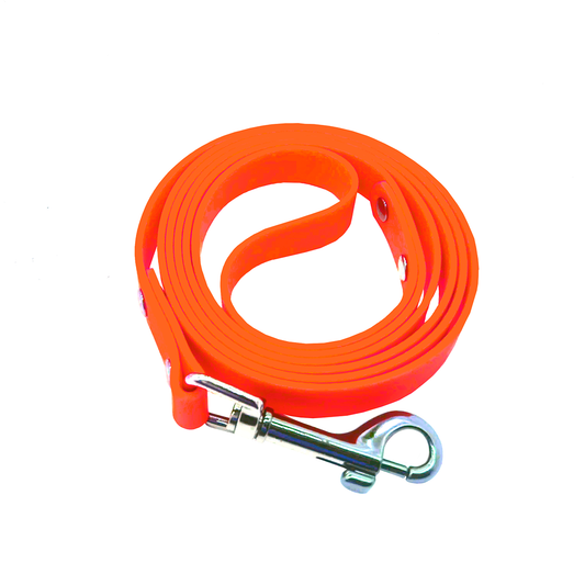 5ft Heavy Duty Dog Walking Leash - Chew Proof, Waterproof Small Dog Leash with Lobster Clasp for Puppy, Outdoor, and Yard Use